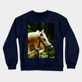 Horses - White Horse Closeup Crewneck Sweatshirt